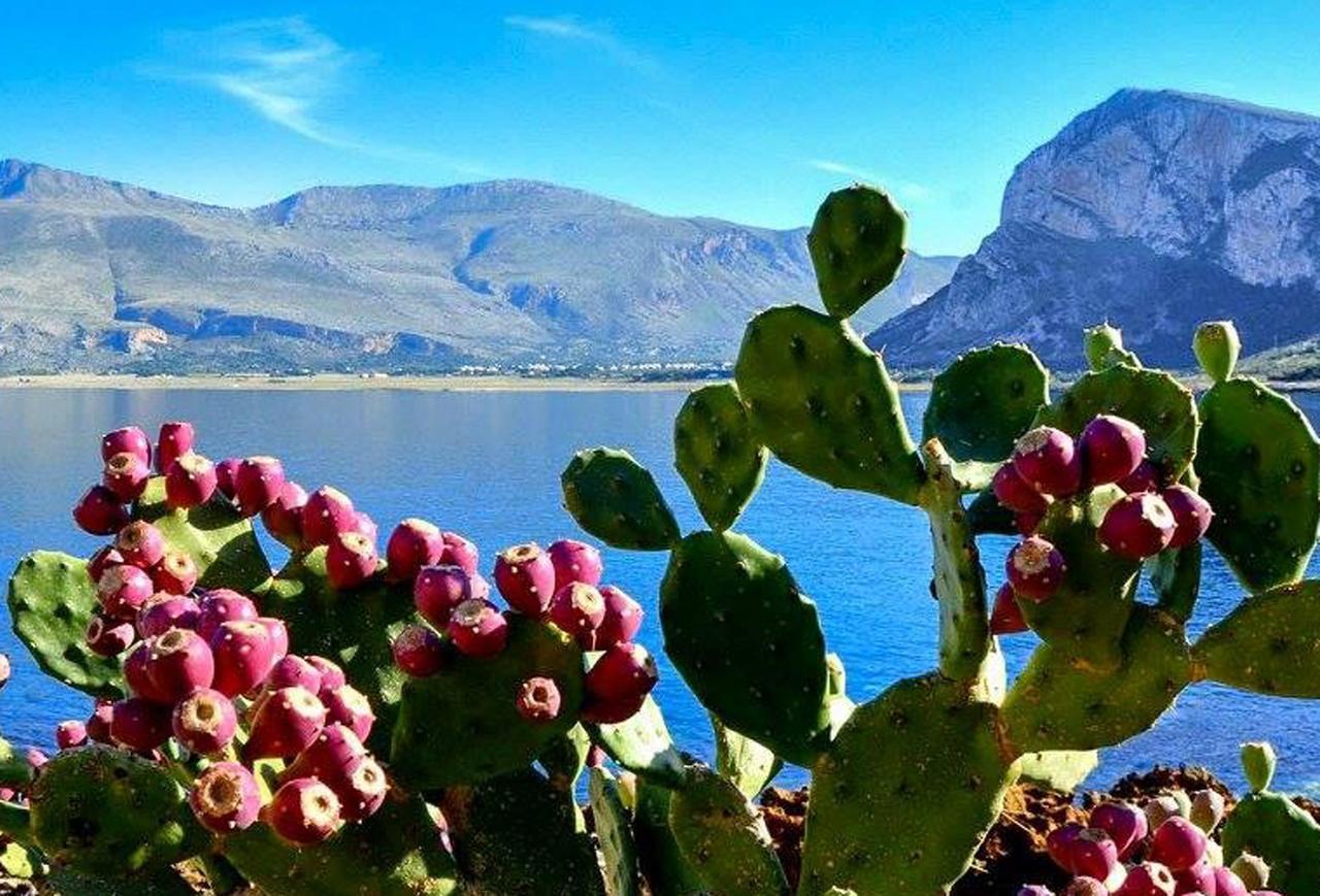 Bed&Breakfast Sapore di Sale Trapani Eksteriør bilde